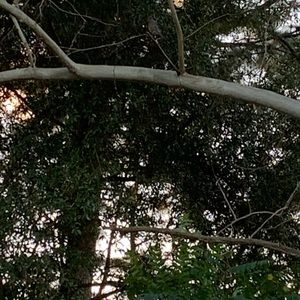 Meet your Posher, Jake